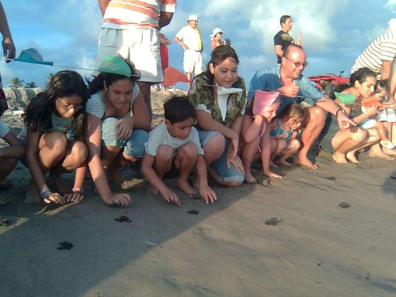 *Afro-Mex Village Horse Ride, Turtle Release Crocodile Farm - Exploring an Afro-Mexican Village and Local Lifestyle