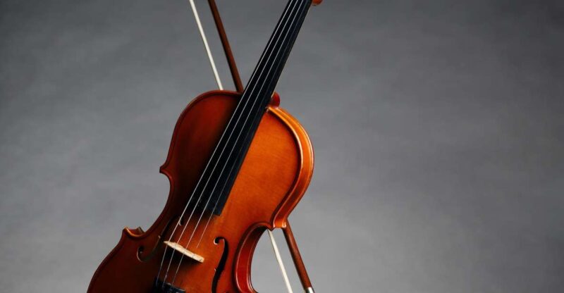 Afternoon Access to Accademia Gallery: David & Stradivarius - Key Points