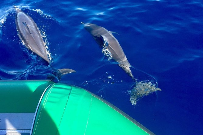 Afternoon Adventure Snorkel from Ka'anapali - Safety and Accessibility Considerations