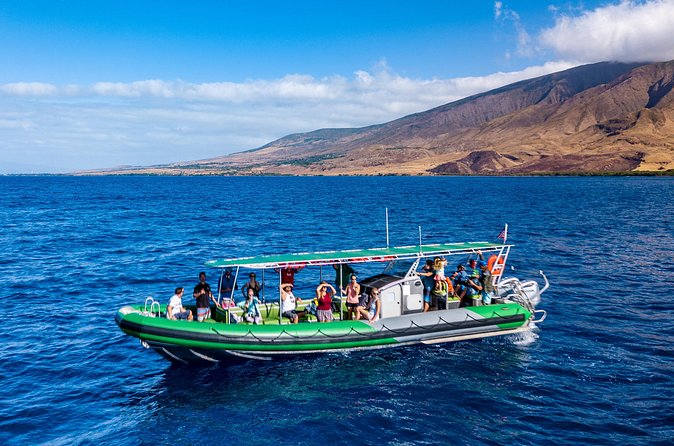 Afternoon Adventure Snorkel from Ka'anapali - Why This Snorkel Tour Is a Great Choice for Families and Water Enthusiasts