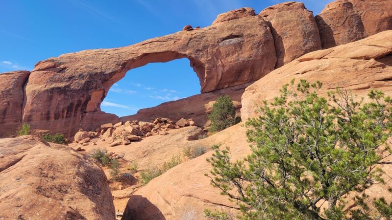 Afternoon Arches National Park 4x4 Tour - Comparing This Tour to Other Options
