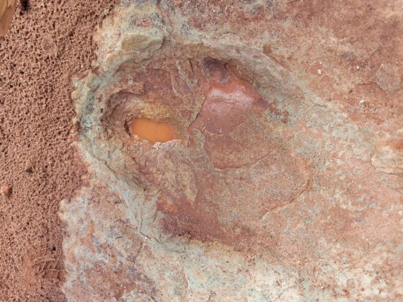 Afternoon Arches National Park 4x4 Tour - Final Thoughts on the Afternoon Arches 4x4 Tour