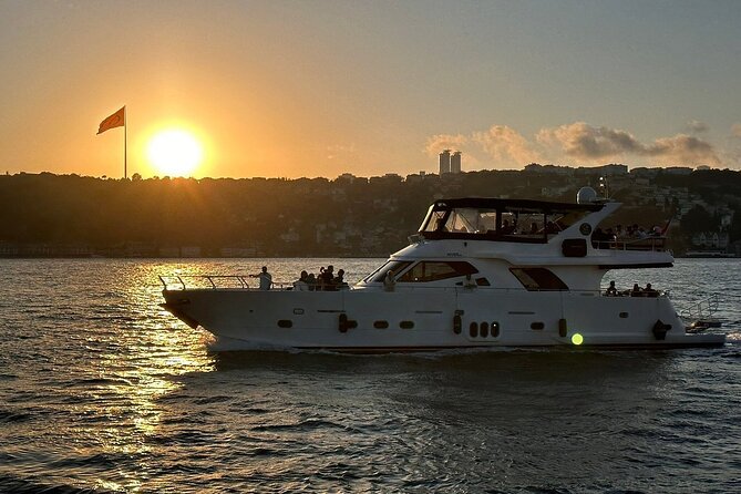 Afternoon Bosphorus Cruise Luxury Yacht with Professional Guide - Accessibility and Additional Information