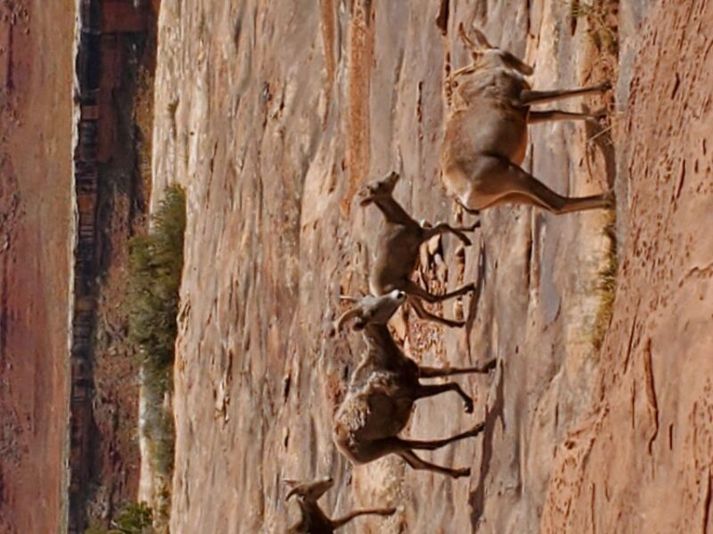 Afternoon Canyonlands Island In The Sky 4X4 Tour - Key Points