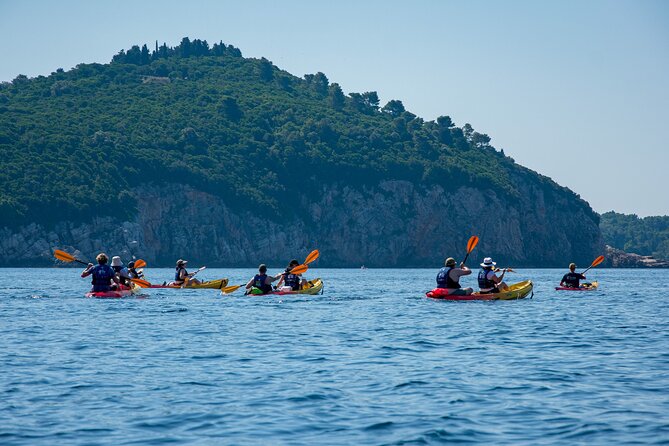 Afternoon Dubrovnik Guided Kayaking Tour - What to Bring and Practical Tips