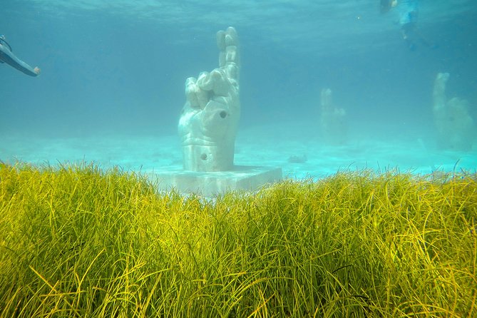 Afternoon Half-Day Catmaran Sailing and Snorkel Adventure - Logistics and Practical Tips for the Tour