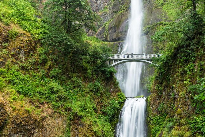 Afternoon Half-Day Multnomah Falls and Columbia River Gorge Waterfalls Tour from Portland - Experience Portland’s Most Scenic Waterfalls on a Guided Half-Day Tour