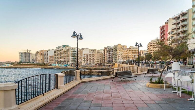 Afternoon Harbours Cruise with Guide and Roundtrip Transfers - Practical Tips and Considerations for Tour Participants