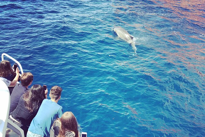 Afternoon in Scandola and creeks of Piana with stop in Girolata - Key Points