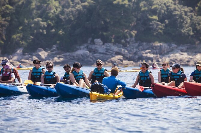 Afternoon Kayaking in Dubrovnik - Discover the Charm of Dubrovnik from the Water