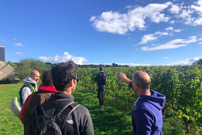 Afternoon Loire Valley Wine Tour from Tours or Amboise - Knowledgeable Guides Who Bring the Region to Life