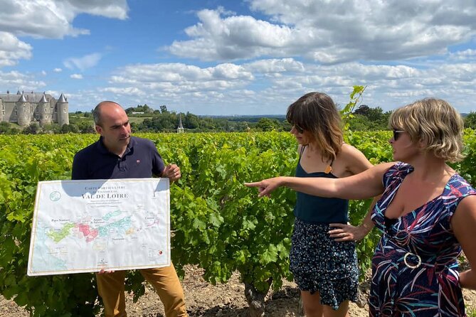 Afternoon Loire Valley Wine Tour from Tours or Amboise - Visiting the Wineries and Cellars: What Makes Them Special