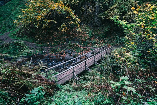 Afternoon Multnomah Falls and Gorge Waterfalls Tour - Key Points