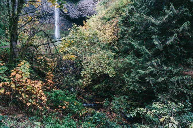 Afternoon Multnomah Falls and Gorge Waterfalls Tour - Stand in Awe at Multnomah Falls