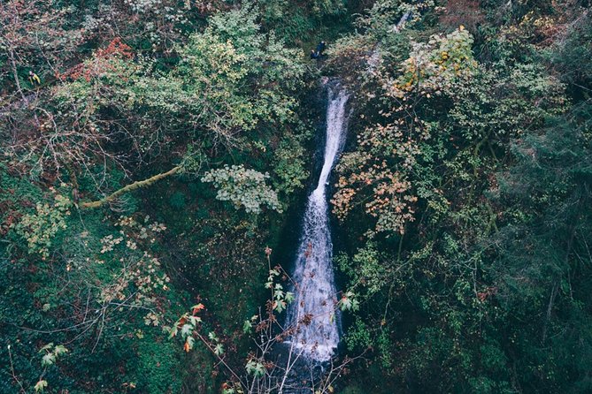 Afternoon Multnomah Falls and Gorge Waterfalls Tour - Insight into the Geological and Cultural History of the Gorge