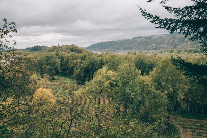 Afternoon Multnomah Falls and Gorge Waterfalls Tour - The Comfort and Convenience of a Private Tour