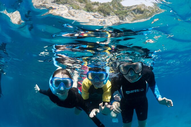 Afternoon snorkelling guided by a marine biologist in Sorrento - The Role of the Marine Biologist: Fabios Expertise and Approach