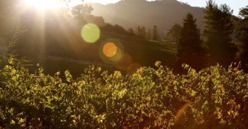 Afternoon: Tour Soap, Olive Oil, Wine Stories of Peza Valley - The Charm of Peteinos Alianiaris Tavern