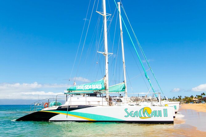 Afternoon West Maui Snorkel from Kaanapali Beach - Pacing and Timing of the Tour