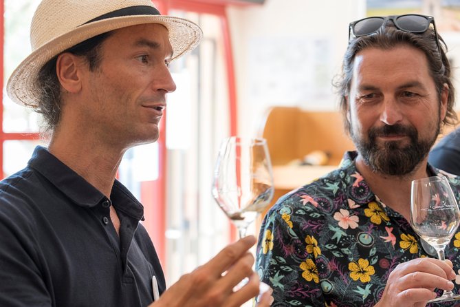 Afternoon Wine Tour to Chateauneuf du Pape from Avignon - Visiting the Vineyards and Learning About Wine Production