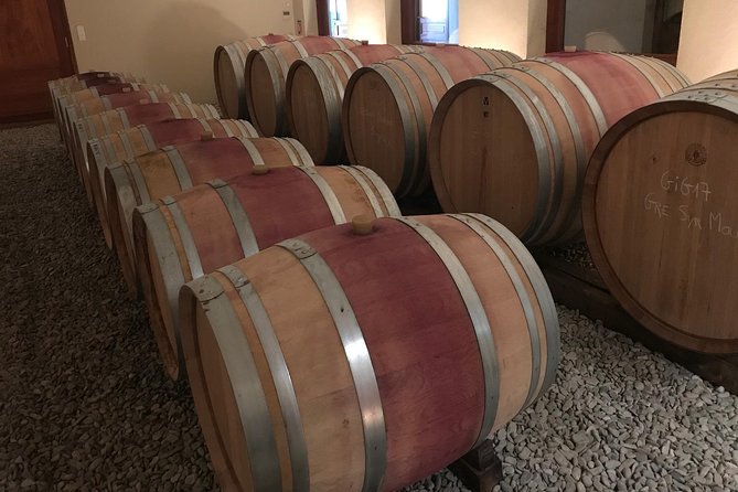 Afternoon Wine Tour to Chateauneuf du Pape from Avignon - Timing, Pacing, and Tour Duration