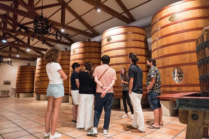 Afternoon Wine Tour to Chateauneuf du Pape from Avignon - Who Will Enjoy This Tour the Most?
