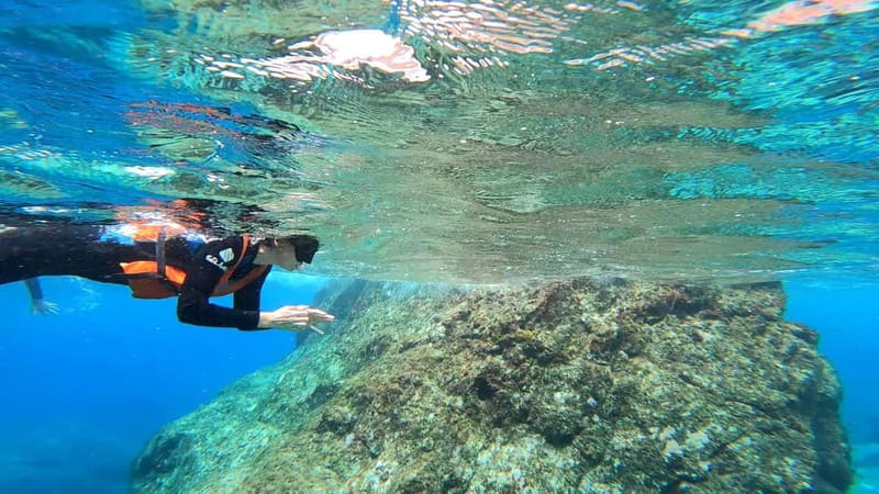 Agaete: Gran Canaria Coasteering. Marine Ferrata and Zipline - Practical Details: Equipment, Safety, and Group Size