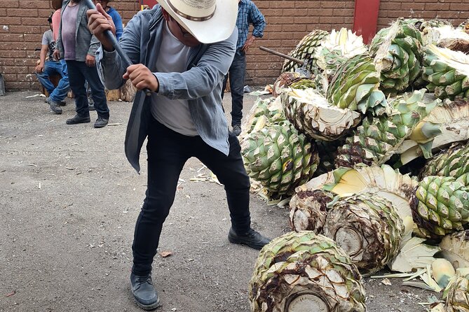 Agave Adventures Mexico - Authentic Oaxacan Food and Cultural Confraternity