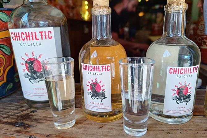 Agave drinks: Pulque, Raicilla, and Mezcal tasting in Guadalajara - Pairing Tastes with Traditional Snacks in a Bohemian Setting
