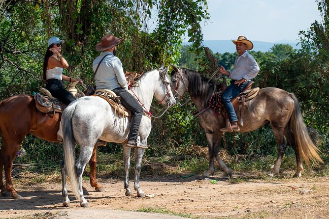 Agaves and Tequila Horseback Ride in El Arenal Jalisco - Tequila Tasting and Regional Flavors Included