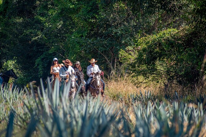 Agaves and Tequila Horseback Ride in El Arenal Jalisco - The Full-Day Experience and Archaeological Site Visit
