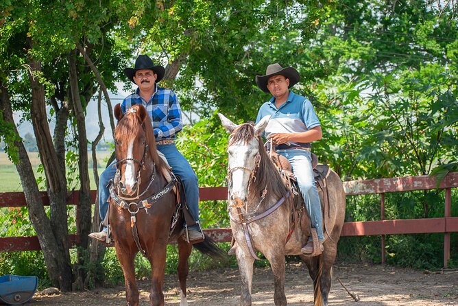 Agaves and Tequila Horseback Ride in El Arenal Jalisco - What Sets This Tour Apart from Others