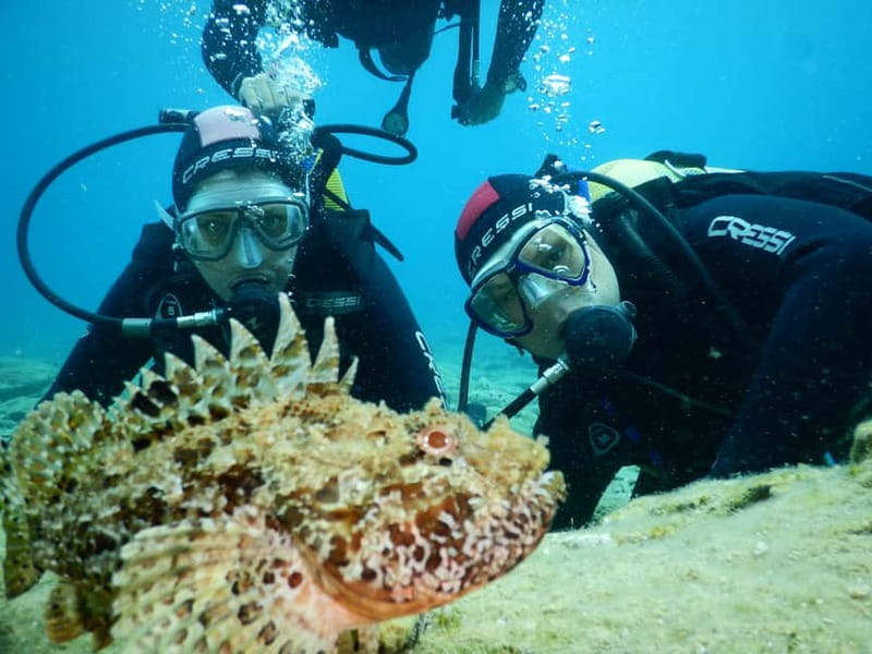 Agia Pelagia: Introduction to Scuba Diving (2 Dives) - The Guides and Language Support