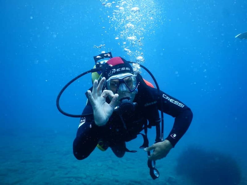 Agia Pelagia: Introduction to Scuba Diving (2 Dives) - Timing and Pacing of the Tour