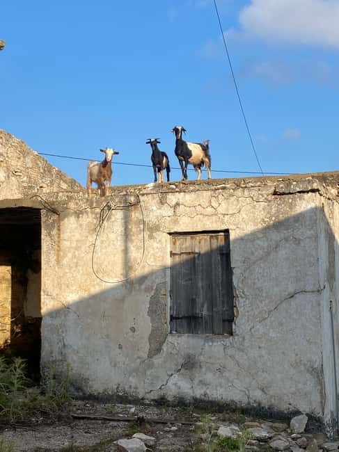 Agia Pelagia: Sunset or Morning Quad Tour & Ghost Town Visit - Sunset from the Coastal Vantage Point