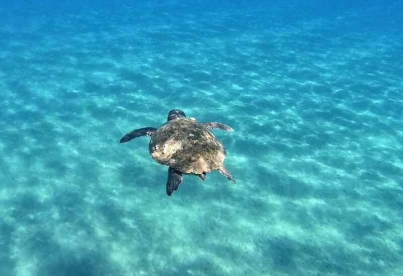 Agios Sostis: Marathonissi, Keri Caves, and Turtle Spotting - Exploring Keri Caves and Oasi Bay