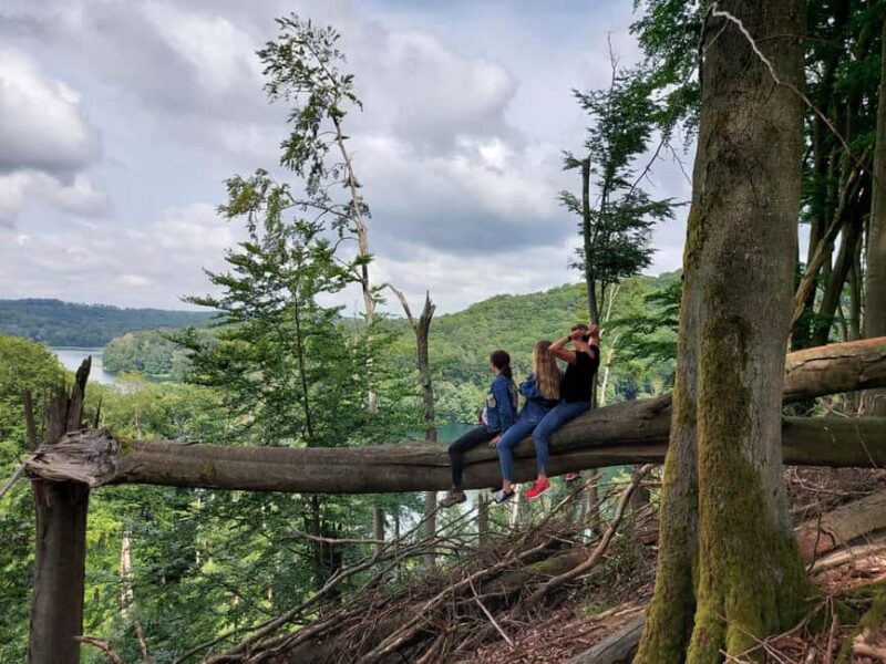 agów Landscape Park Horseriding Tour - An Exciting 2-Hour Horseback Adventure in agów Landscape Park for All Skill Levels