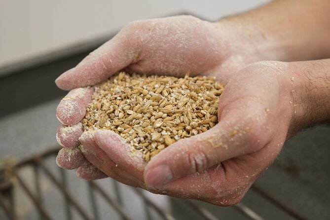 Agricultural Brewery Tour in the Roman Countryside - Key Points