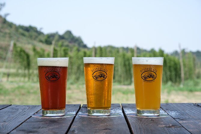 Agricultural Brewery Tour in the Roman Countryside - Tasting the Fruits of the Labor