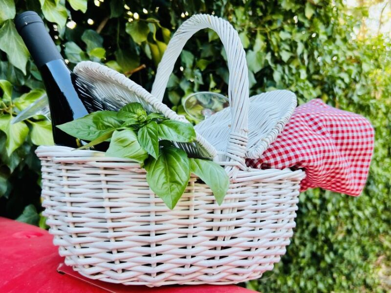 Agrigento: Valley of the Temples Gardens Picnic Experience - Discover the Hidden Charm of the Kolymbethra Gardens