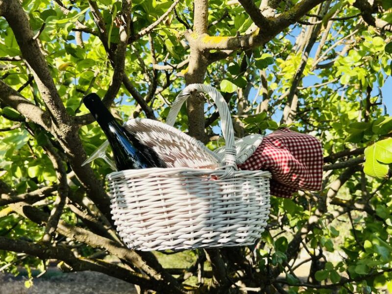 Agrigento: Valley of the Temples Gardens Picnic Experience - What’s Included in the Picnic Basket