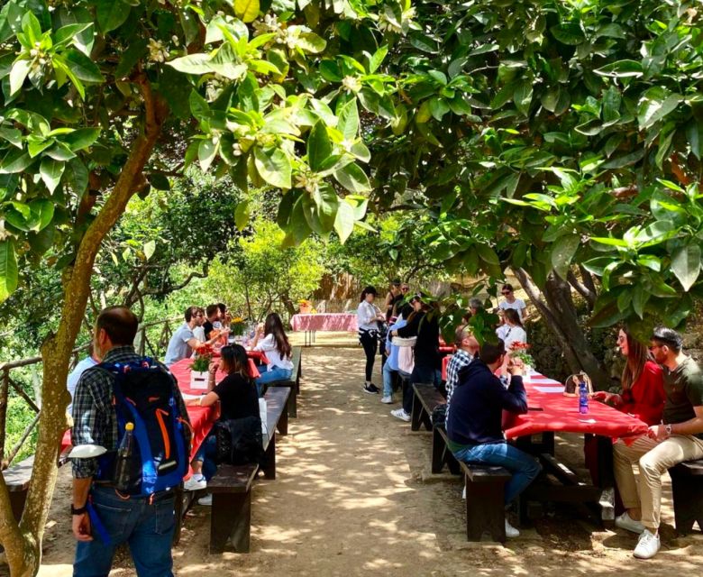 Agrigento: Valley of the Temples Gardens Picnic Experience - The Garden and Archaeological Walk