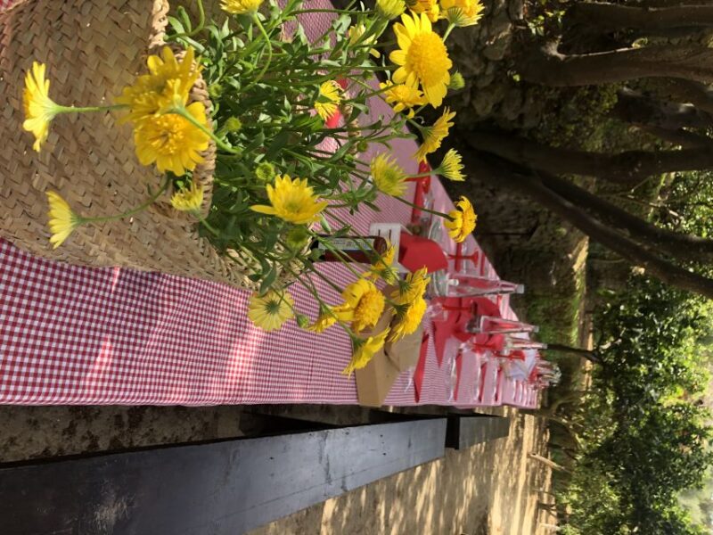 Agrigento: Valley of the Temples Gardens Picnic Experience - The Experience of the Hosts and Service