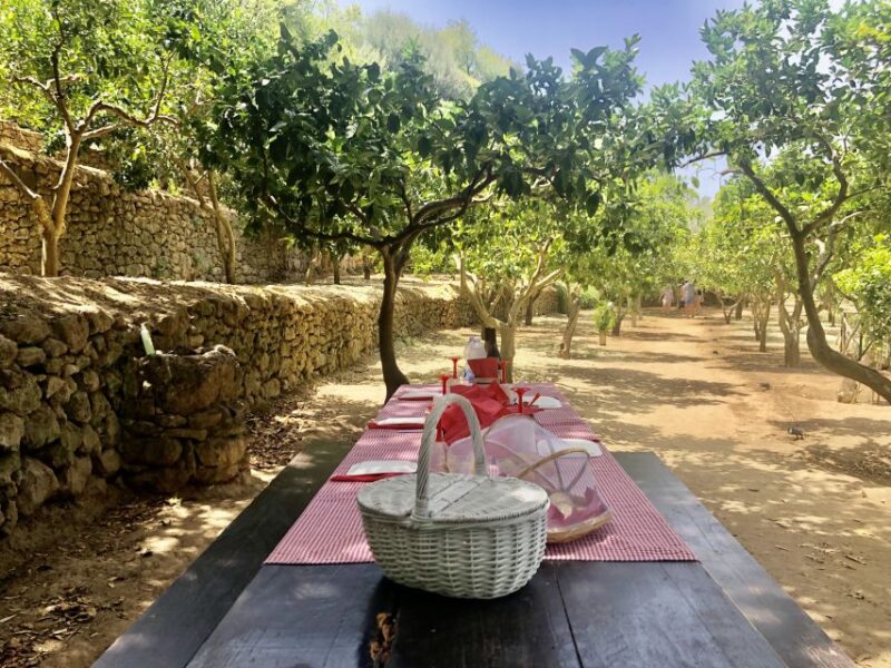 Agrigento: Valley of the Temples Gardens Picnic Experience - Comparing This Experience to Other Tours