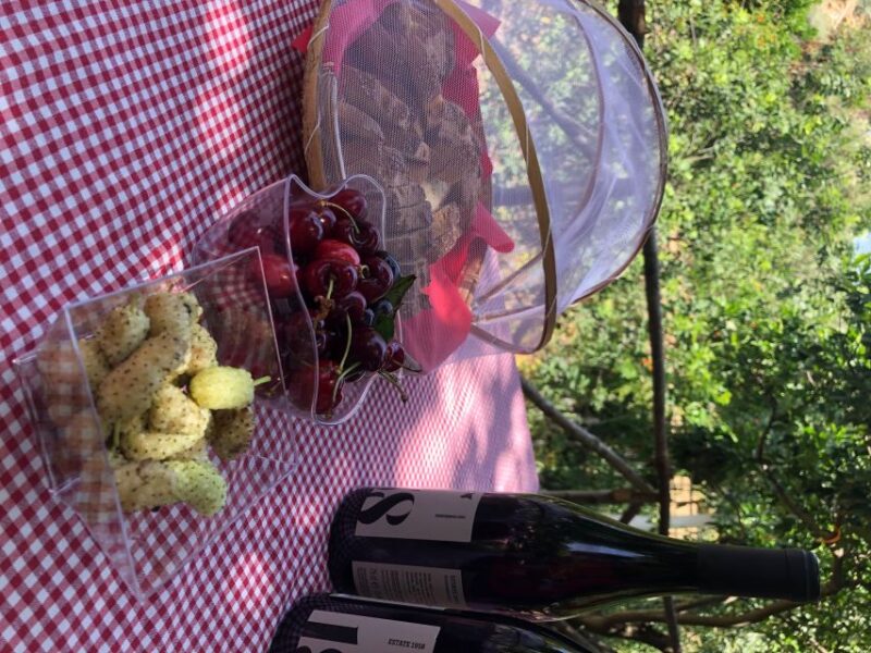 Agrigento: Valley of the Temples Gardens Picnic Experience - Value for Money and Reviews