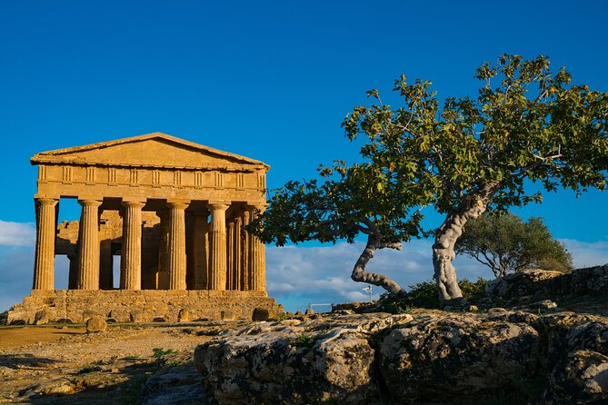 Agrigento Valley of the Temples Private Archeological Guided Tour - The Expertise of Your Private Guide
