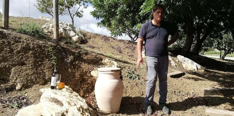 Agrigento: Vineyards and Wine Tasting Experience - Discovering Agrigento’s Vineyard Landscape