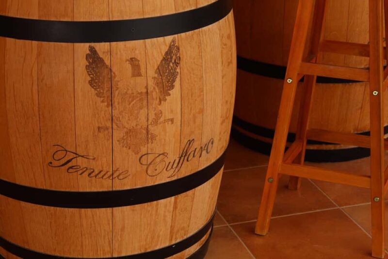 Agrigento: Wine tasting and walk in the vineyards. - Scenic Drive from Agrigento to the Vineyards