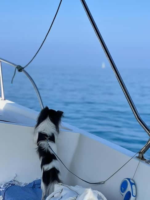 Agropoli: sunset boat tour with aperitif - Discover the Charm of Agropoli’s Sunset Boat Tour with Aperitif