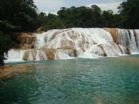 Agua Azul, Misol-Ha & Palenque Ruins from San Cristobal - Exploring Agua Azul: Waterfalls and Regional Cuisine